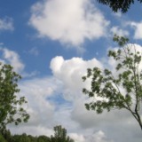 0609F 62 Rotterdam-Leer